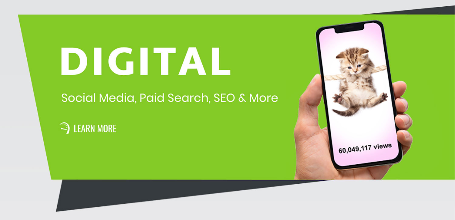 Strong Automotive Merchandising Services - Digital Marketing
