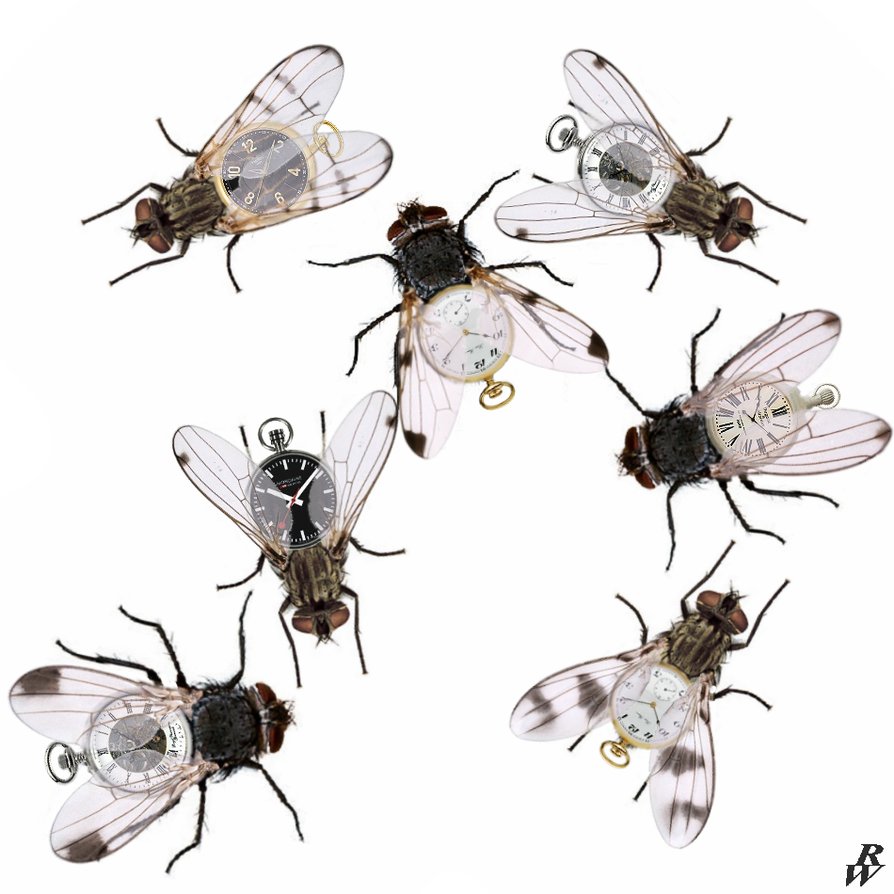 The Unrelenting, Undeniable, Unstoppable Need for Speed The Unrelenting, Undeniable, Unstoppable Need for Speed